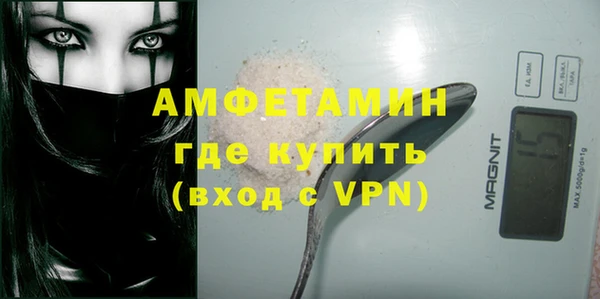 индика Дмитров