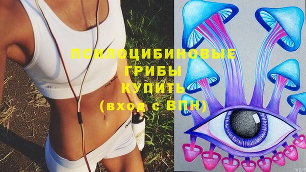 PSILOCYBIN Елизово